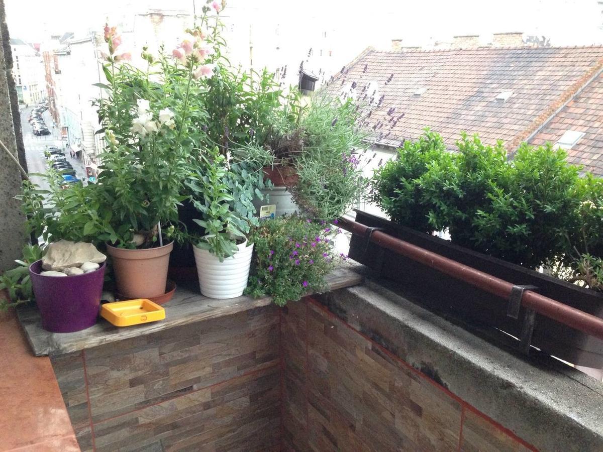 Lonyay Street Apartment Budapest Luaran gambar